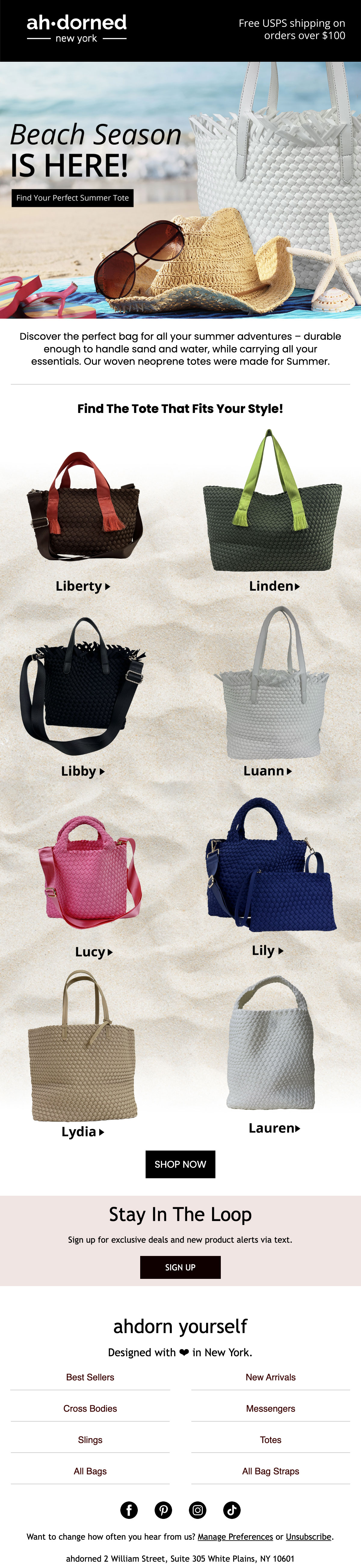 Beach Scene Email-Bags that are good for a beach tripe